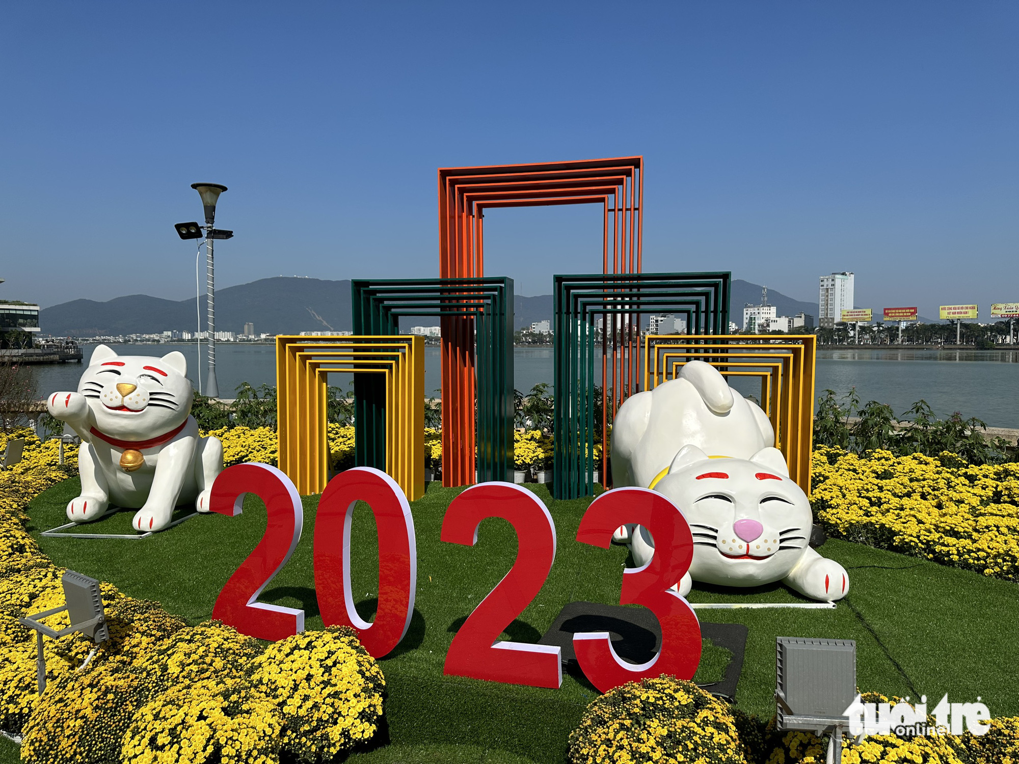 Statues of cats doing yoga. Photo: Moon Black / Tuoi Tre