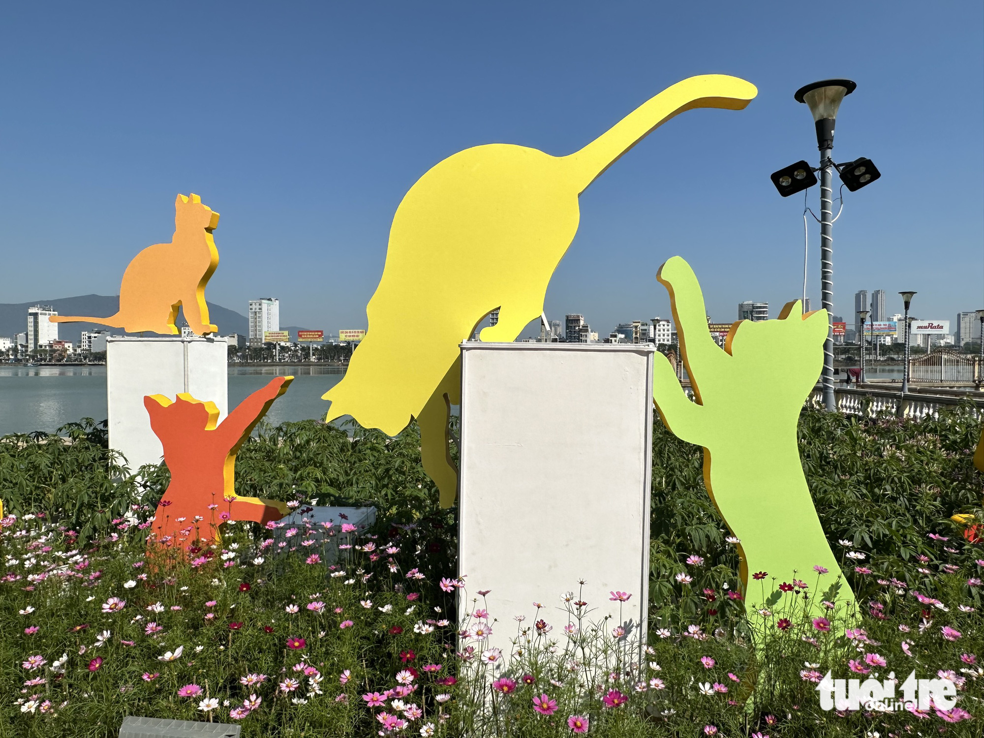 Statues of a clowder of cats with many postures. Photo: Moon Black / Tuoi Tre