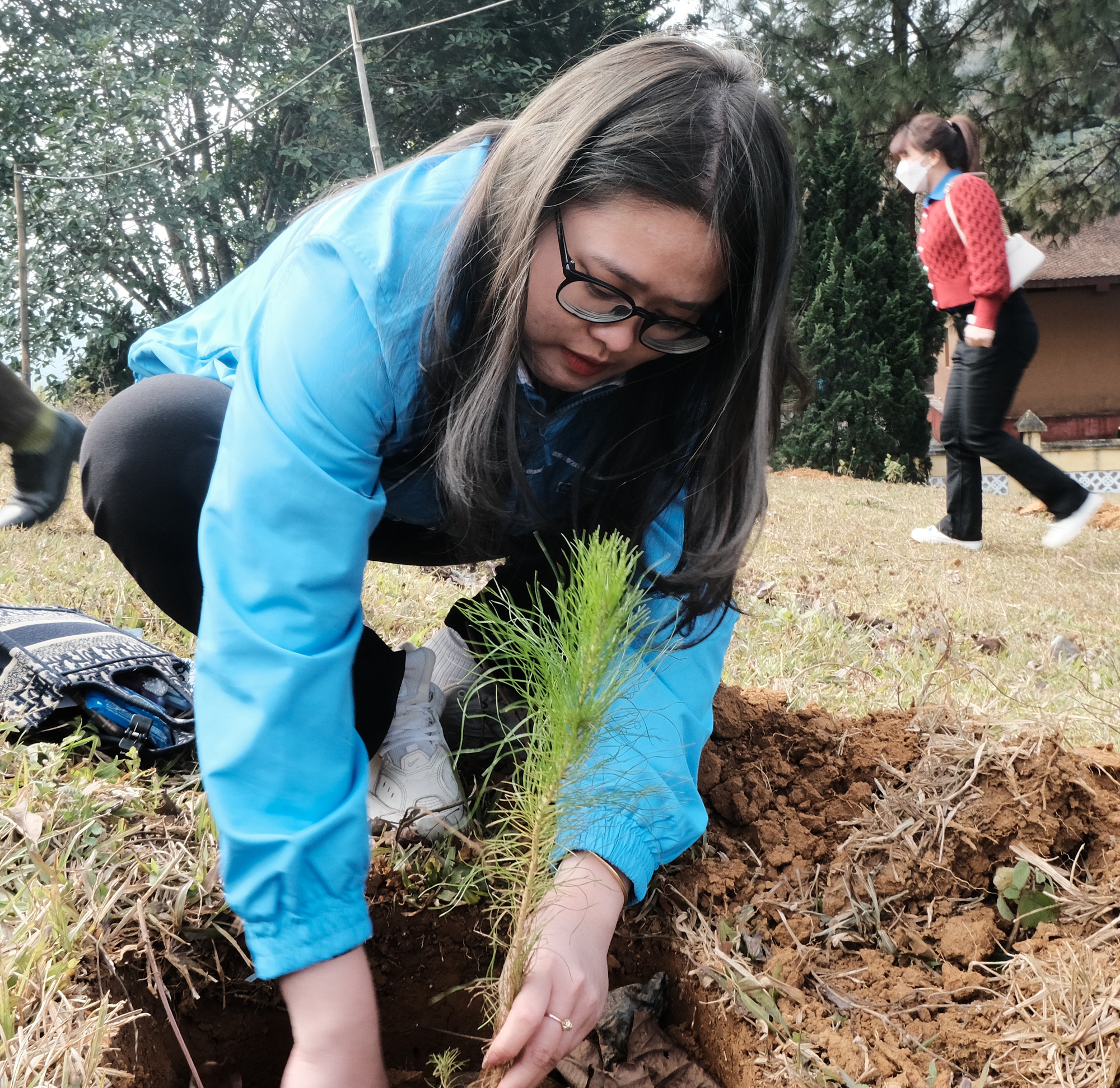 A young girl in Hoa Binh Province plants trees in response to the Tet tree planting movement. Photo: Ha Thanh / Tuoi Tre