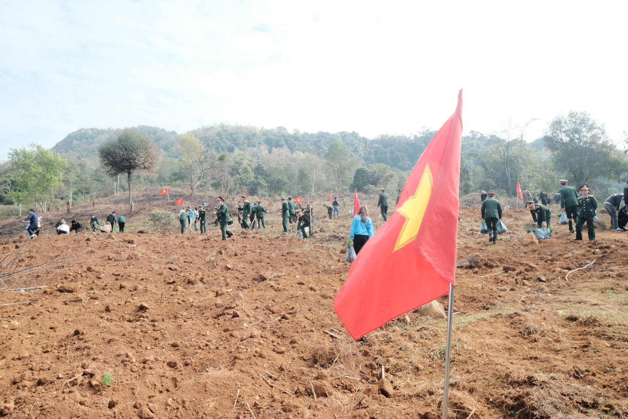 This land lot in Cao Phong District, Hoa Binh Province will be covered with green soon. Photo: Ha Thanh / Tuoi Tre