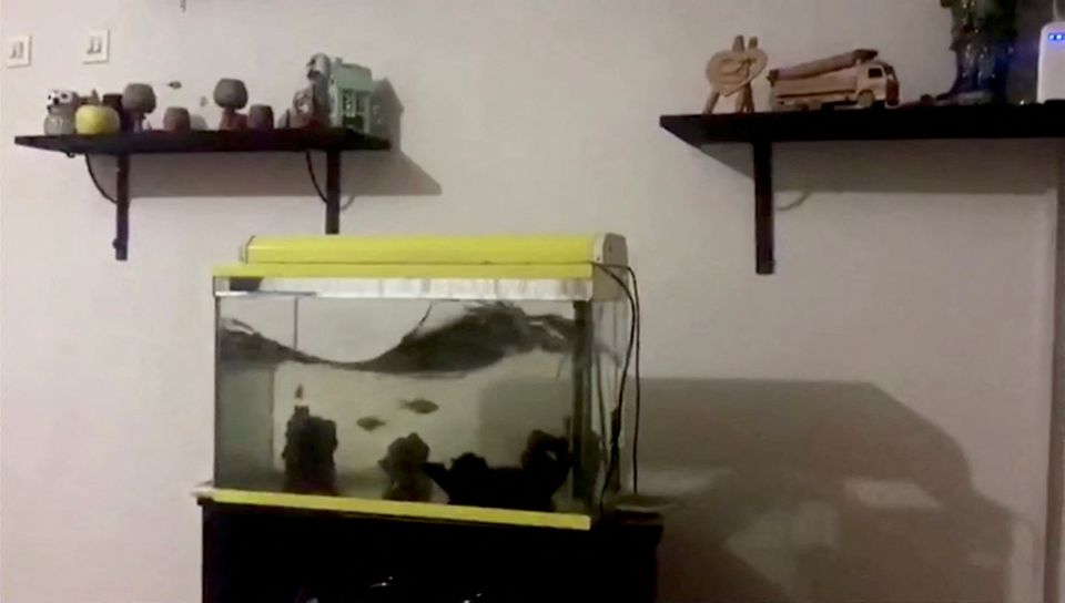 Water in a fish tank is shaken during an earthquake in Diyarbakir, Turkey, February 6, 2023 in this still image taken from video. Photo: Reuters