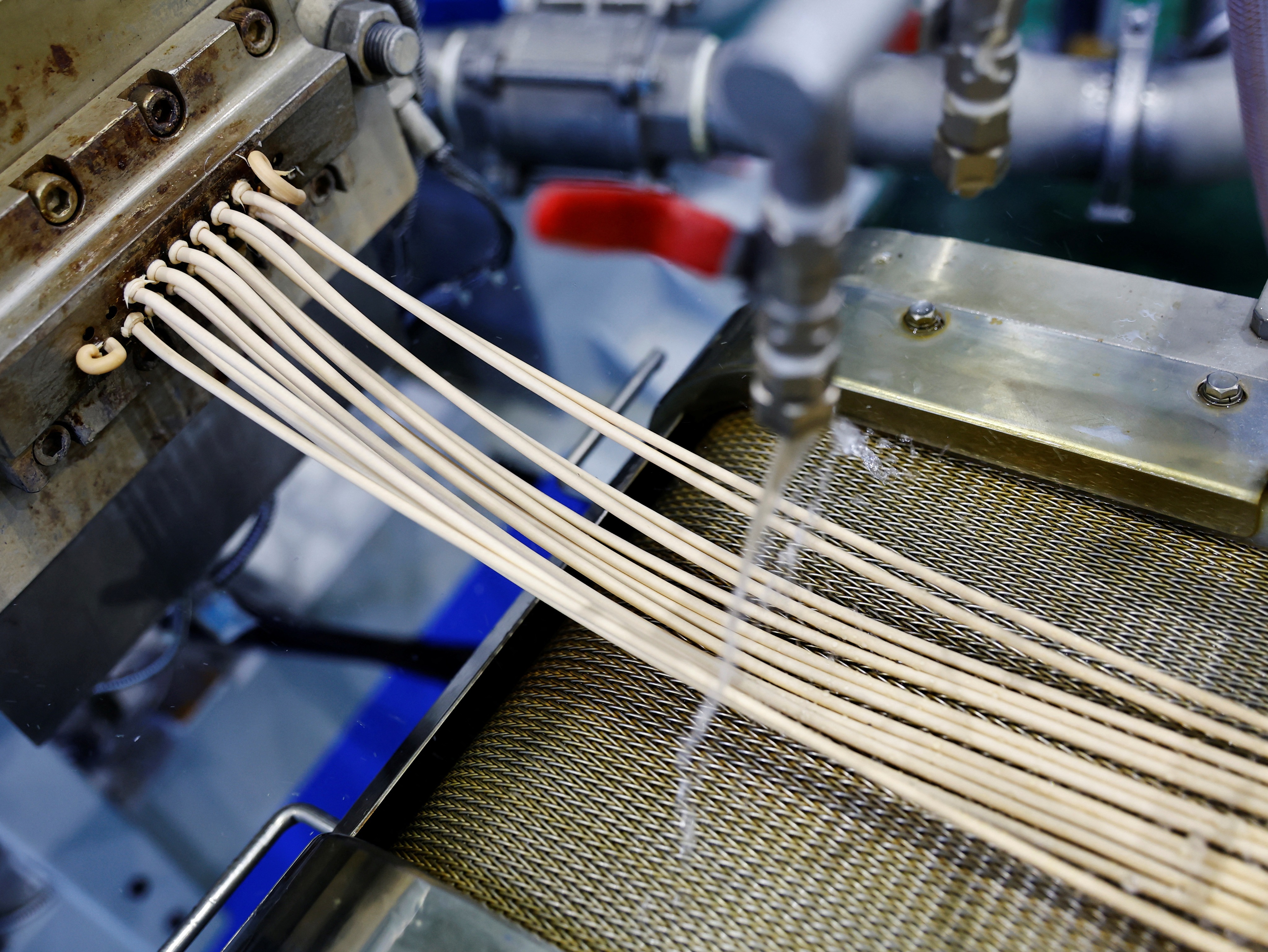 Rice, combined with small plastic pellets and heated and kneaded, is extruded in long and thin rods before it is cut into tiny brown plastic pellets at a factory line of Biomass Resin Fukushima's factory in Namie, about 7 km from the crippled Fukushima Dai-Ichi nuclear plant, Fukushima Prefecture, Japan February 28, 2023. Photo: Reuters