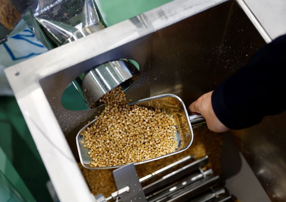 Takemitsu Imazu, President of Biomass Resin Fukushima shows plastic pellets, that are being produced in a factory line, during an interview with Reuters at its factory in Namie, about 7 km from the crippled Fukushima Dai-Ichi nuclear plant, Fukushima Prefecture, Japan February 28, 2023. Photo: Reuters