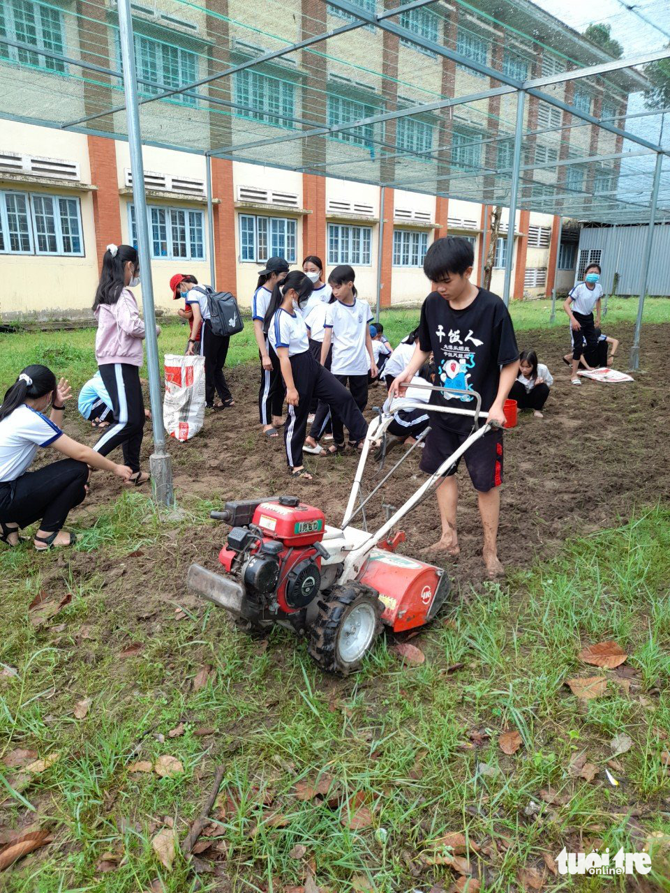 Soil at schools often has sand and rocks, thereby forming standing water after rains. It took five days to loose soil and install drainage pipes in this garden