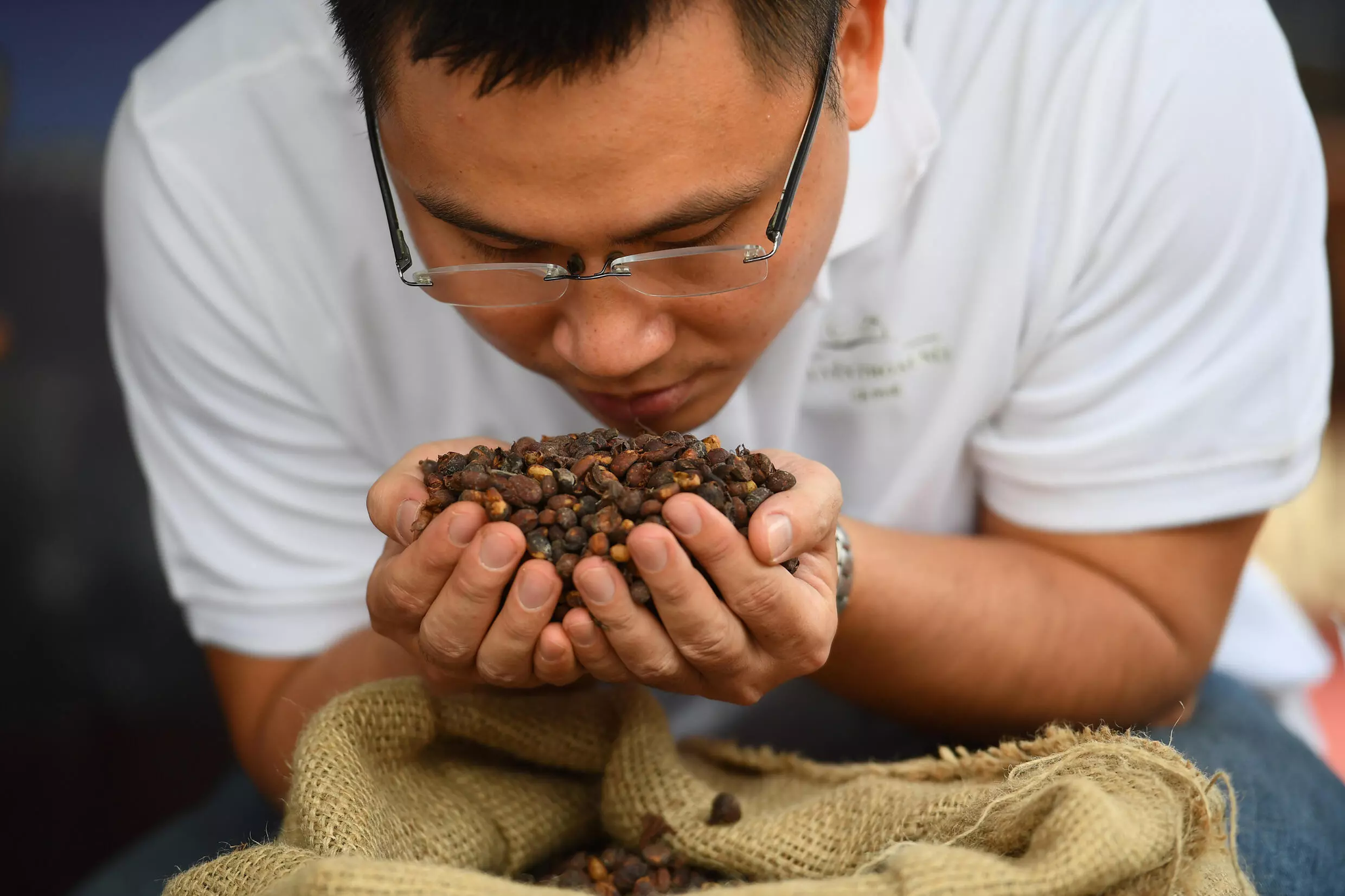 This photo taken on March 13, 2023 shows a man checking coffee beans at a coffee tasting fair in Buon Ma Thuot city in Dak Lak province. Photo: AFP