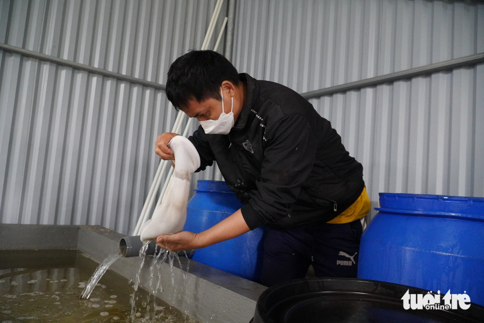 A man works at Pham Thanh Son’s farm in Nghi Xuan District, Ha Tinh Province, Vietnam. Photo: Le Minh / Tuoi Tre