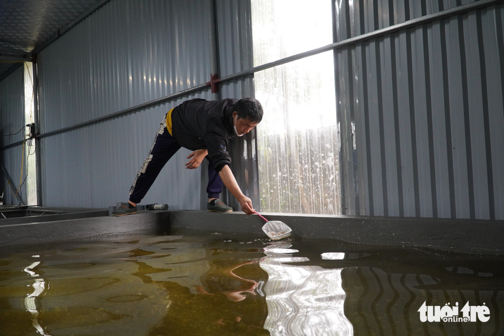 A man works at Pham Thanh Son’s farm in Nghi Xuan District, Ha Tinh Province, Vietnam. Photo: Le Minh / Tuoi Tre