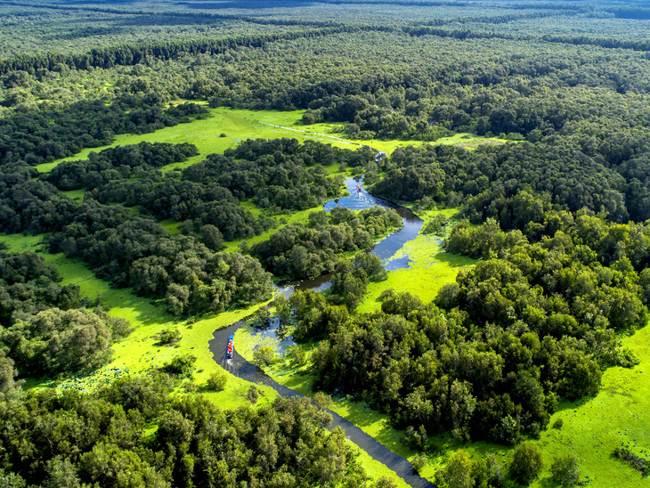 A panoramic view of the Tra Su Melaleuca forest. Photo: An Giang Department of Culture, Sports and Tourism