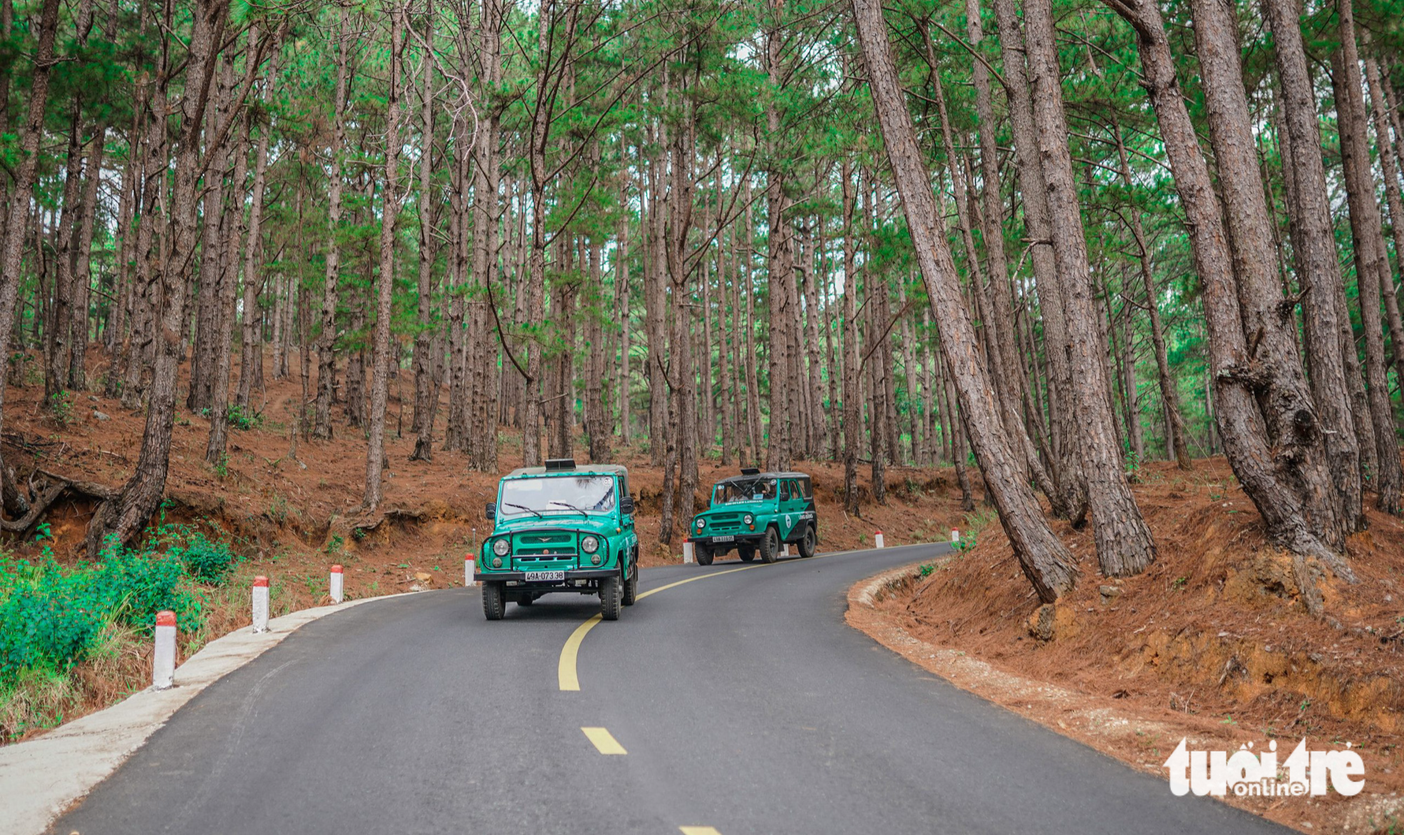 A road leading to the peak of the Langbiang Mountain, located in Lac Duong District, Lam Dong Province. photo: Nhat Vu / Tuoi Tre