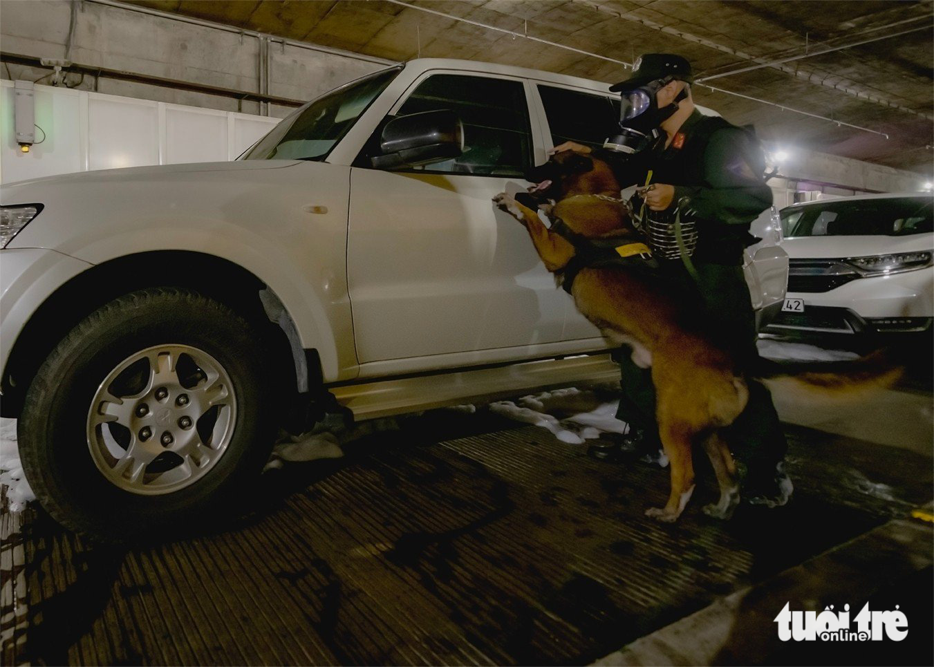 Mobile police officers are dispatched to the scene. They use service dogs to look for people stuck in vehicles. Photo: Minh Hoa / Tuoi Tre