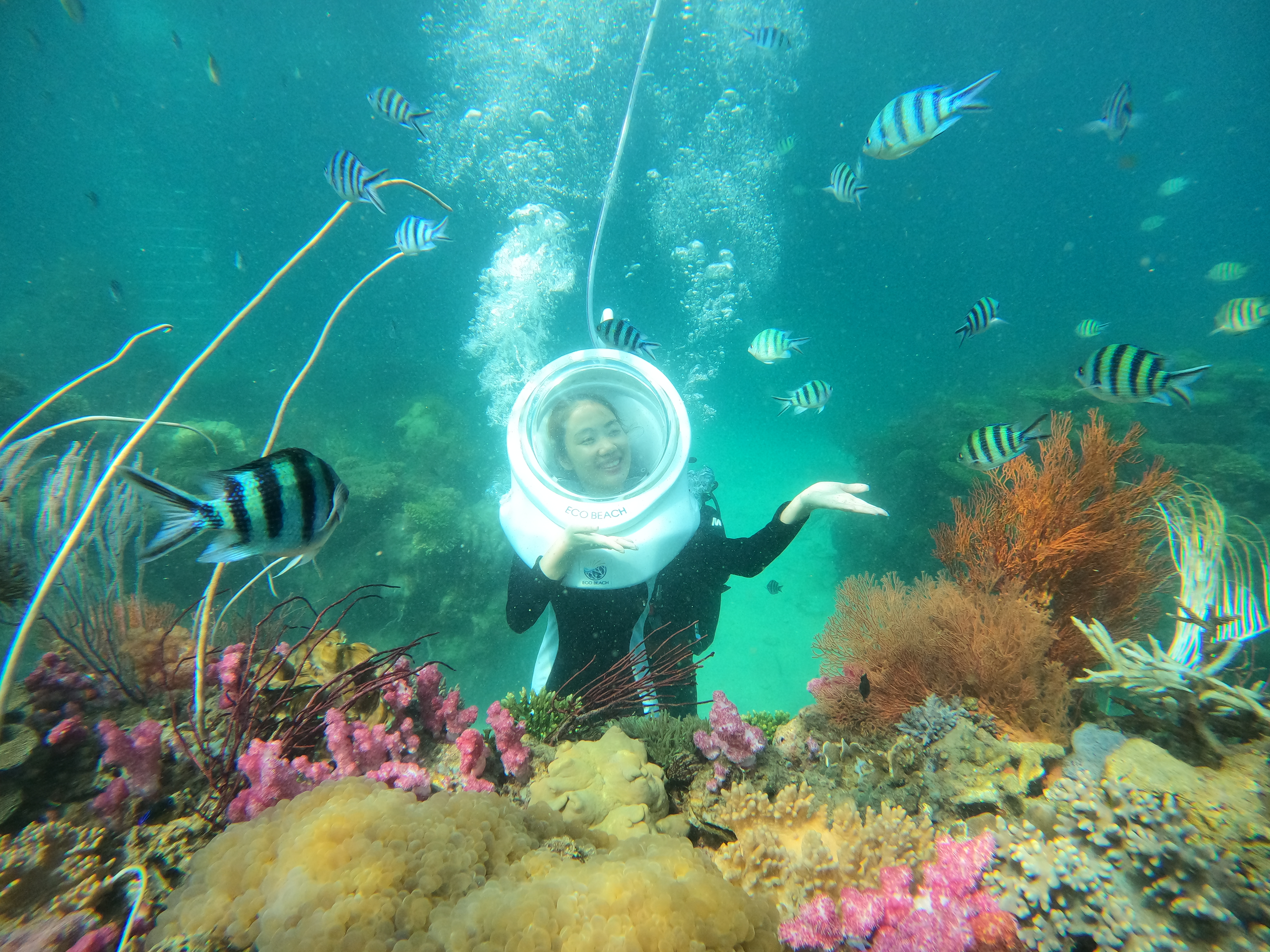 Admiring coral reefs in Phu Quoc, Vietnam