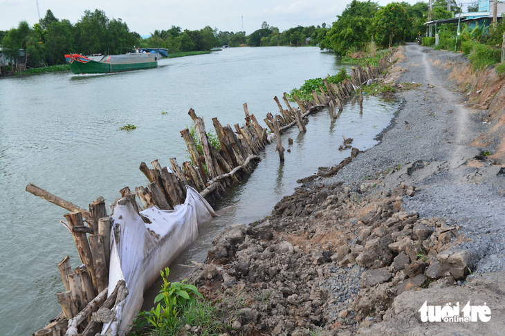Seven landslides occurred along Can Lo Canal in Cao Lanh District under Dong Thap Province in two months. Photo: Dang Tuyet / Tuoi Tre