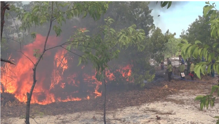 The site of the fire drill. Photo: Q.V. / Tuoi Tre
