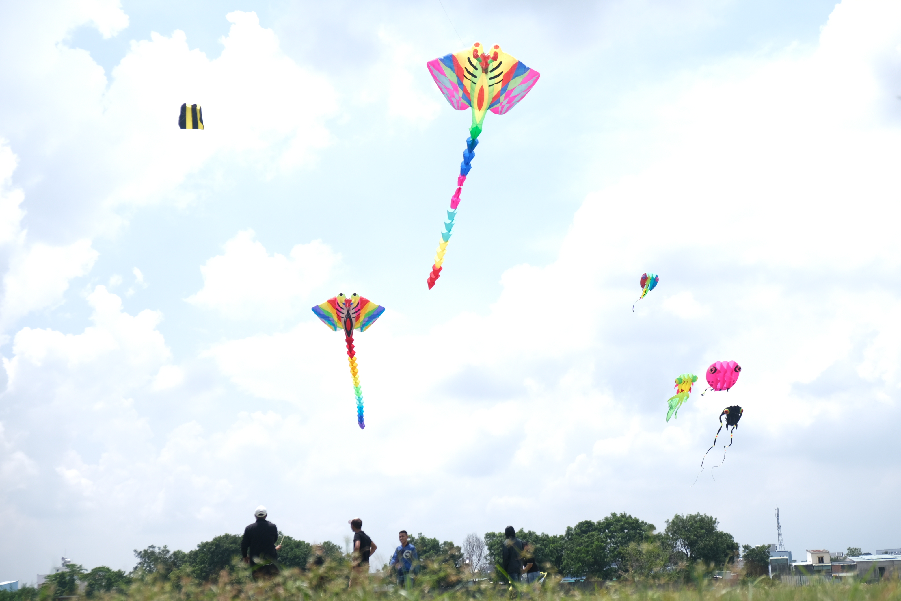 Giant kites are flying in the sky above a field in Hoc Mon District, Ho Chi Minh City. Photo: Ngoc Phuong / Tuoi Tre News