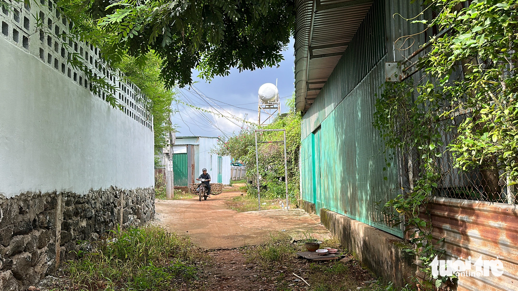 Hermetic and dank houses of residents next to the World Coffee Museum in Dak Lak Province. Photo: Trung Tan / Tuoi Tre