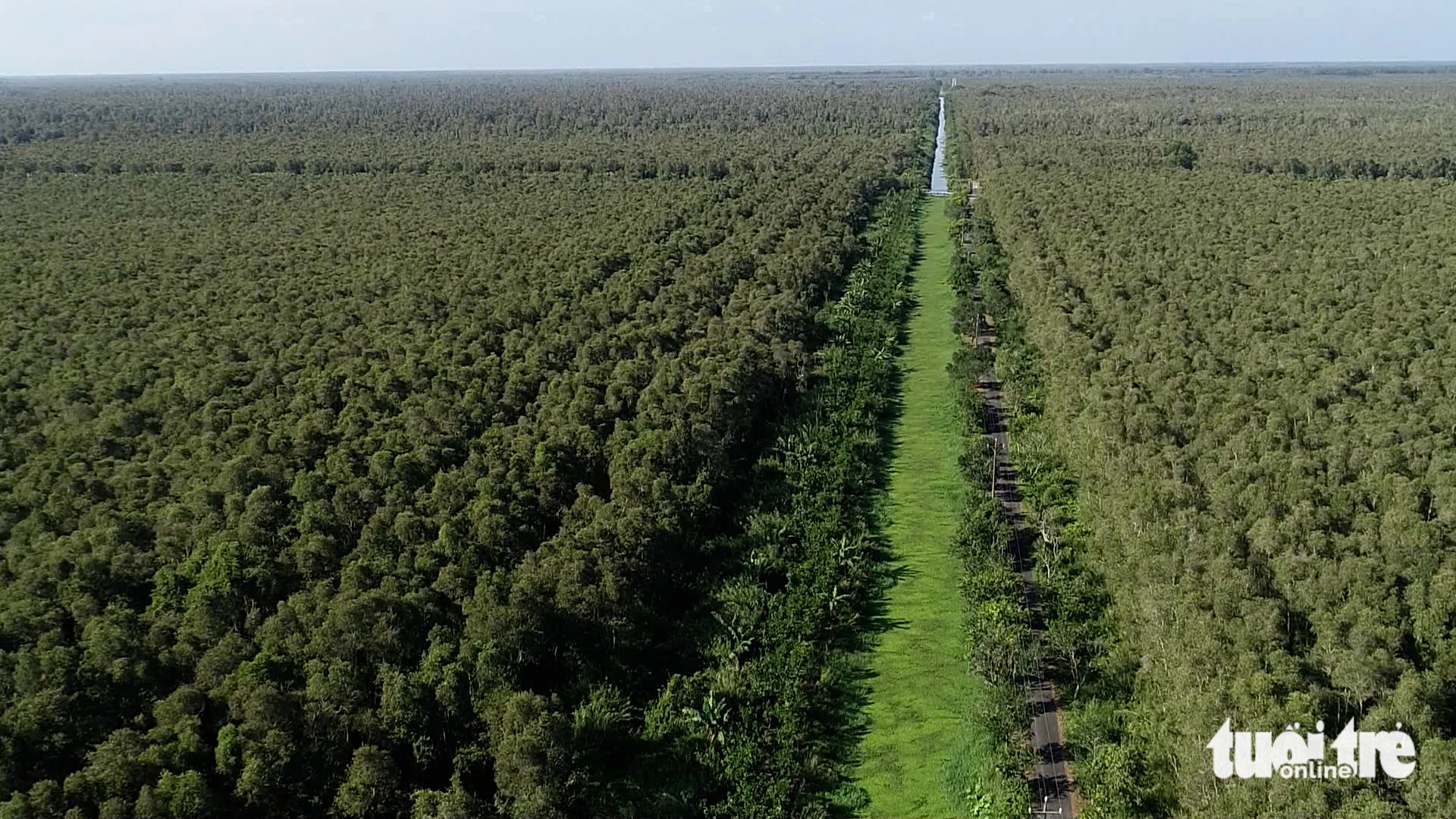 The observatory in Ca Mau Province, southern Vietnam will help visitors know where to go amid a vast area of cajeput tree-dominated land in the province’s U Minh Ha National Park. Photo: Thanh Huyen / Tuoi Tre