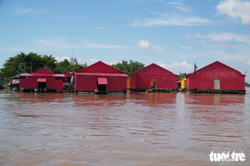 A waterway route runs through Chau Doc Floating Village. Photo: Chi Hanh / Tuoi Tre