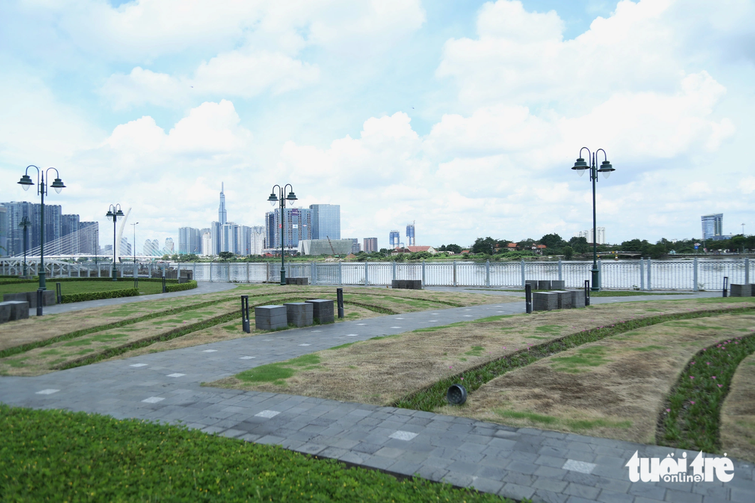 The lawn of Bach Dang Wharf Park in District 1, Ho Chi Minh City is discolored, September 25, 2023. Photo: Tuoi Tre