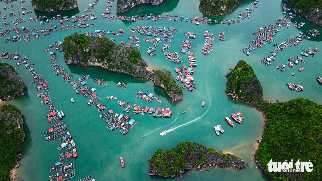 An aerial captures Lan Ha Bay in Tte Cat Ba Archipelago in Hai Phong City, northern Vietnam. Photo: Nam Tran / Tuoi Tre