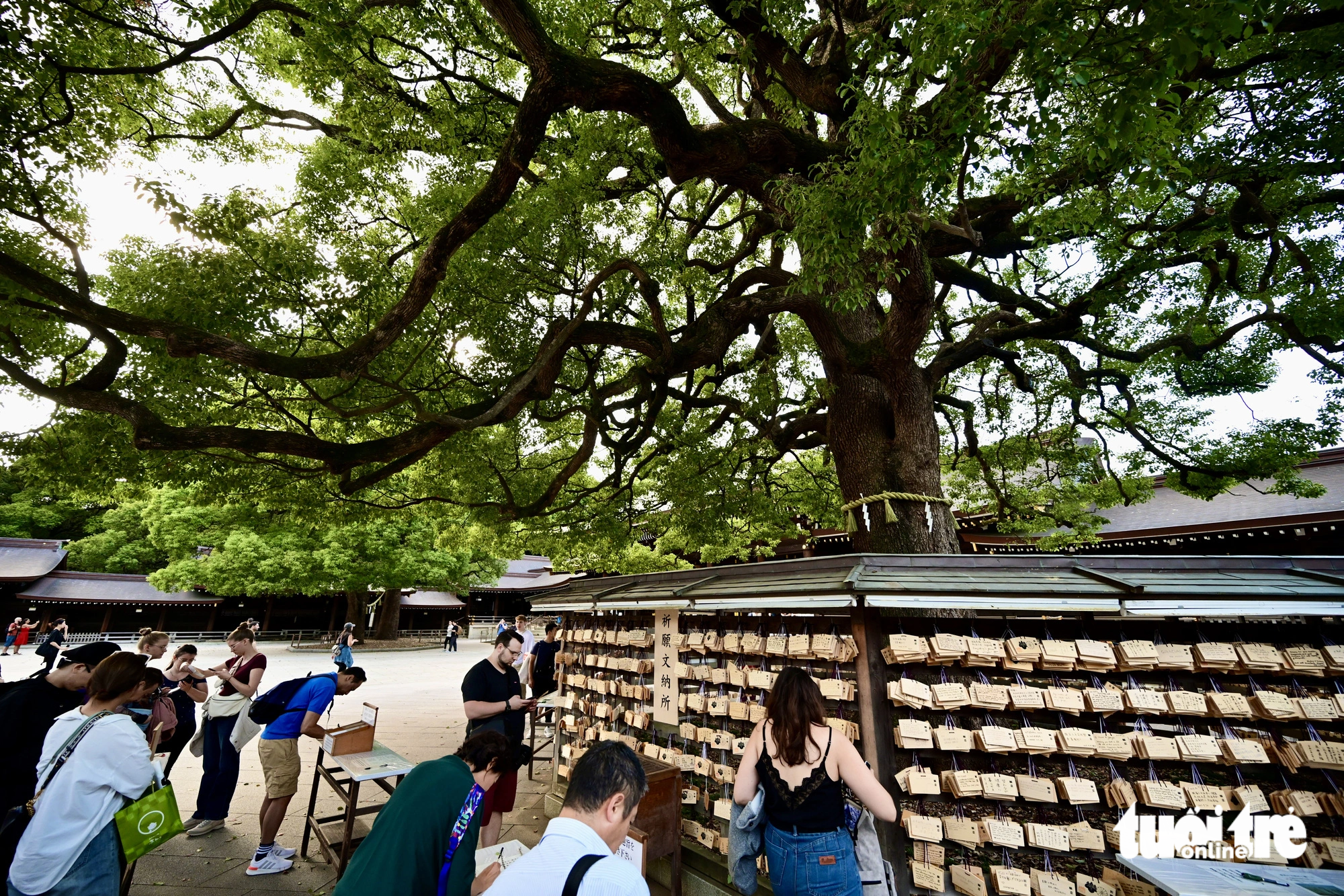 A corner of Meiji-jingu