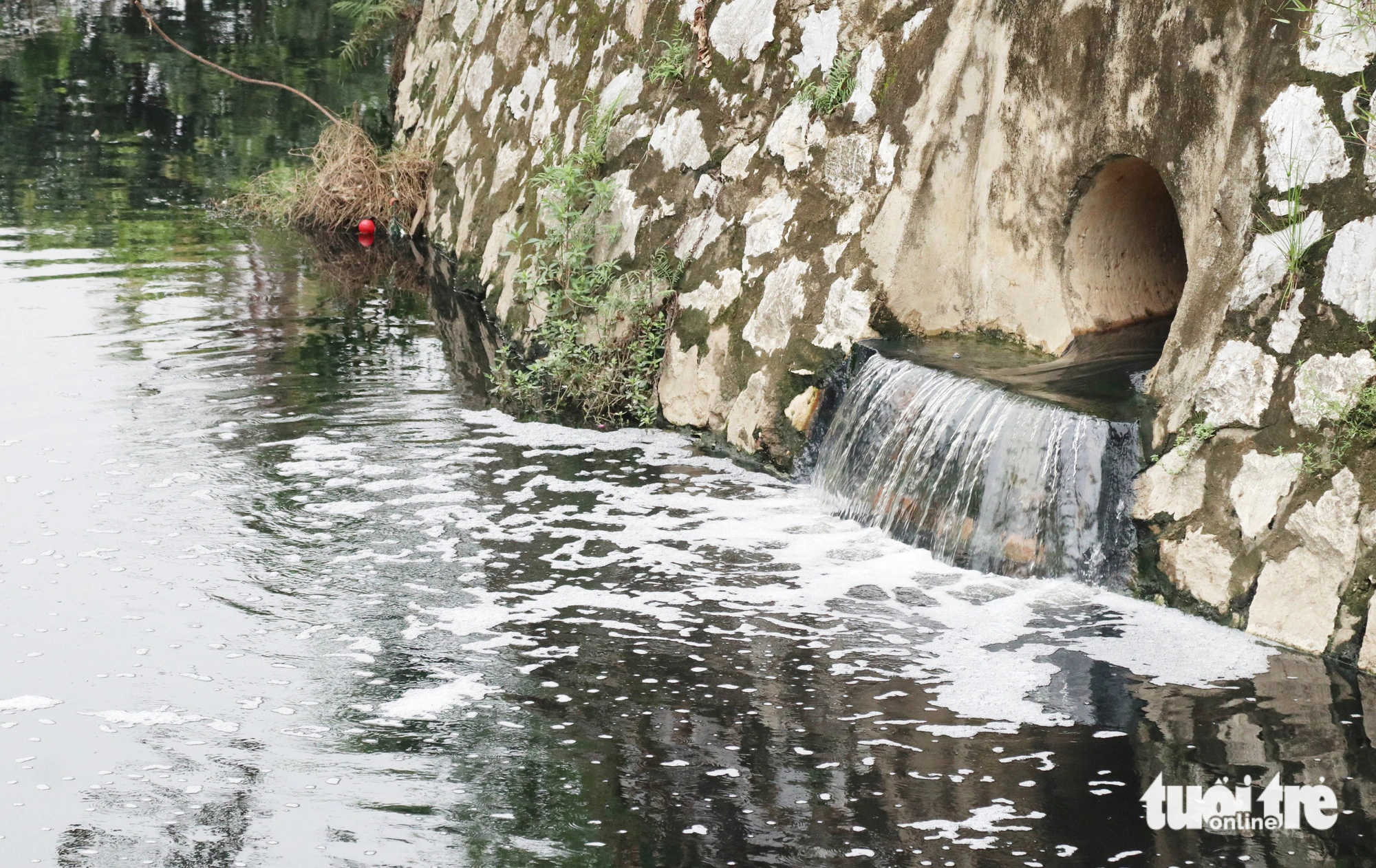 Many local households were also found to have dumped sewage into the moat. Photo: Doan Hoa / Tuoi Tre