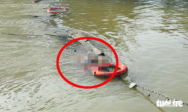 A pig carcass is seen on the Dao Canal, causing environmental pollution and a foul odor. Photo: Doan Hoa / Tuoi Tre