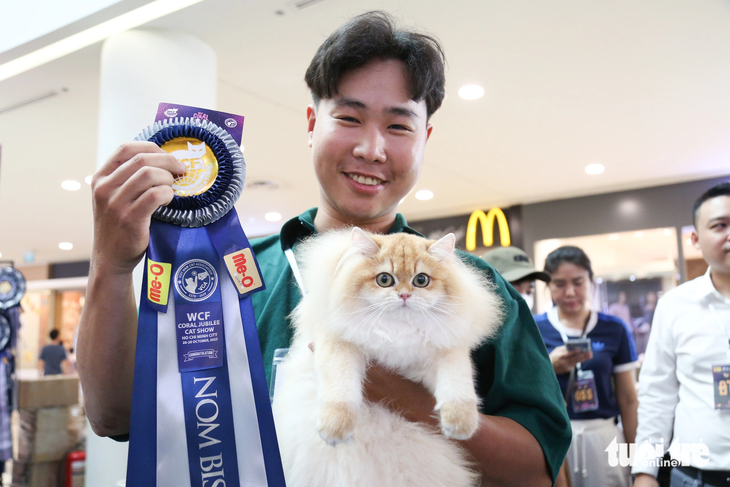 Judges also check cats’ ability to adapt to the surrounding environment.