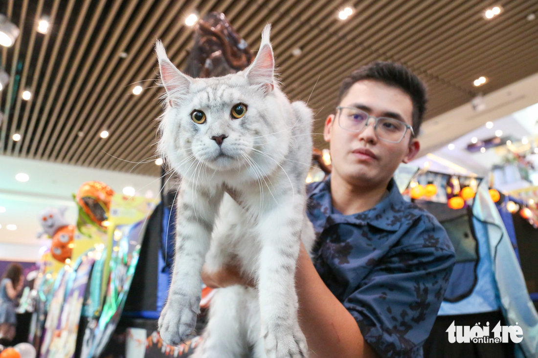 The show organizer plans to hold a world show for cat breeds next year.