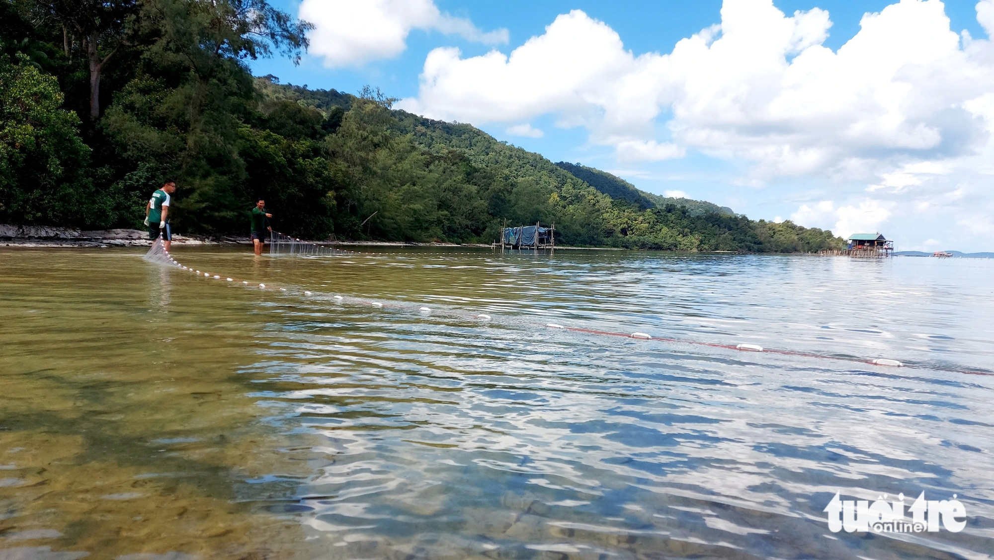 Visitors cast nets to catch fish in Rach Vem Hamlet, Ganh Dau Commune, Phu Quoc City, Kien Giang Province, southern Vietnam, October 28, 2023. Photo: Chi Cong / Tuoi Tre