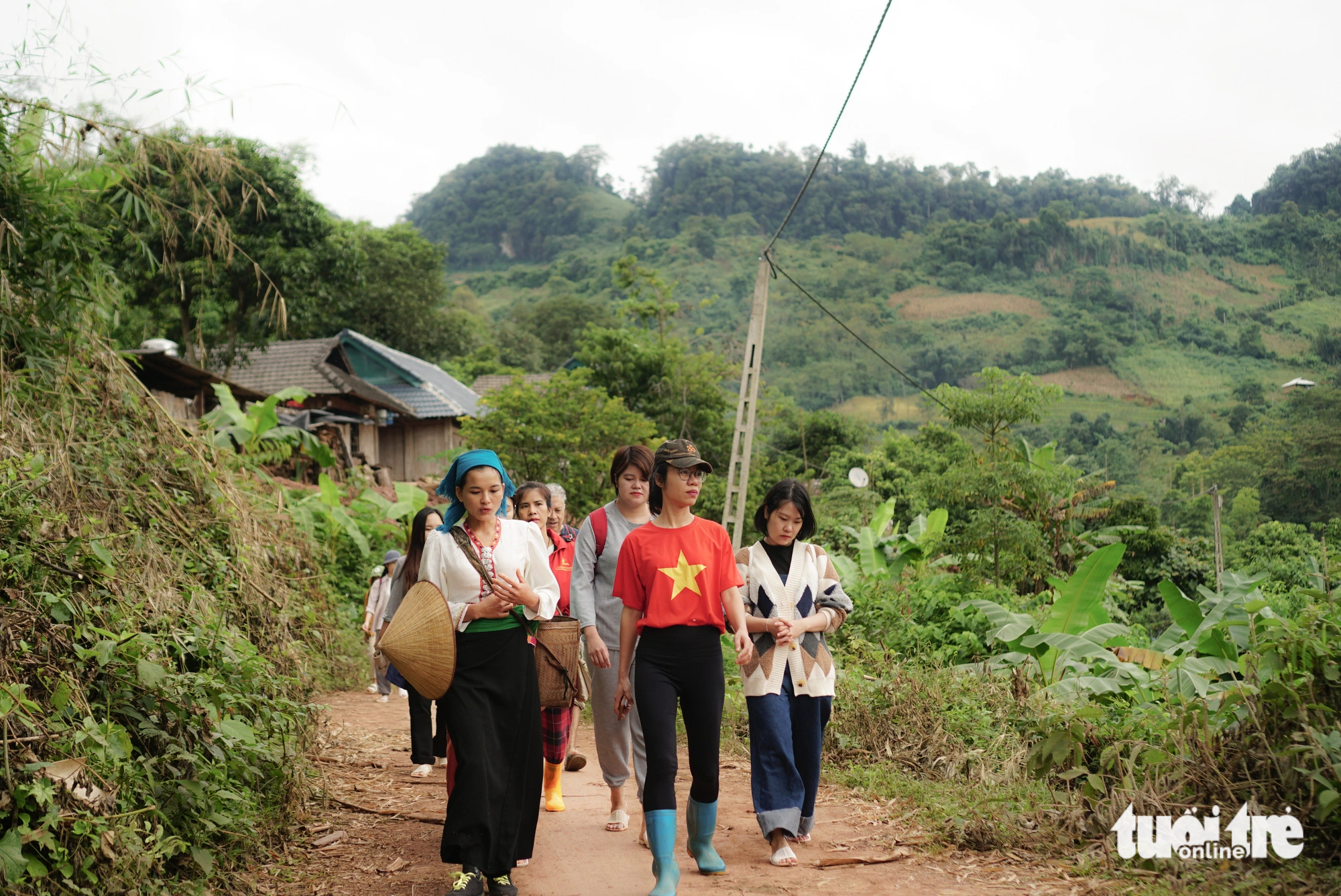 Local tour guide Lo Thi Sen (left) leads tourists to the field. Photo: Nguyen Hien / Tuoi Tre