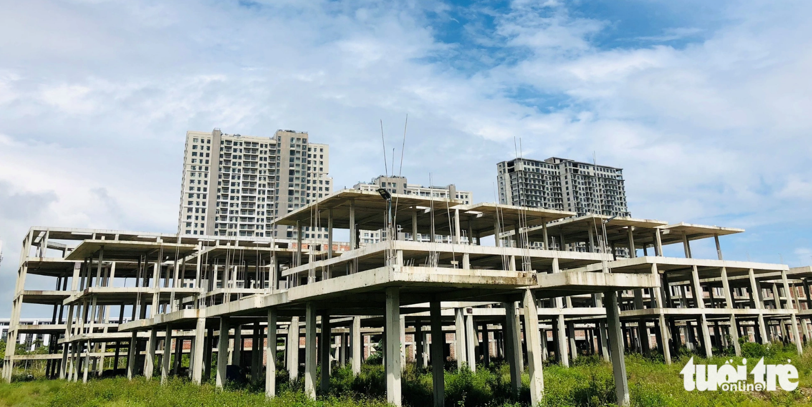 An area of Cocobay Da Nang is overgrown with weeds. Photo: Tuoi Tre