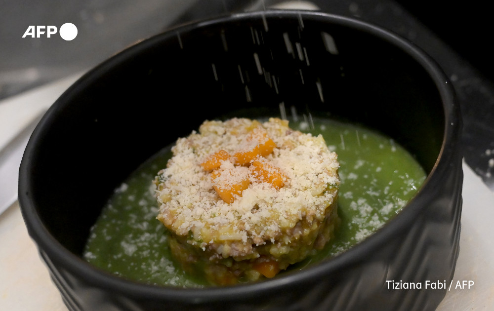 This photograph taken on November 21, 2023 shows a dish prepared for dogs at the Fiuto restaurant in Rome. Photo: AFP