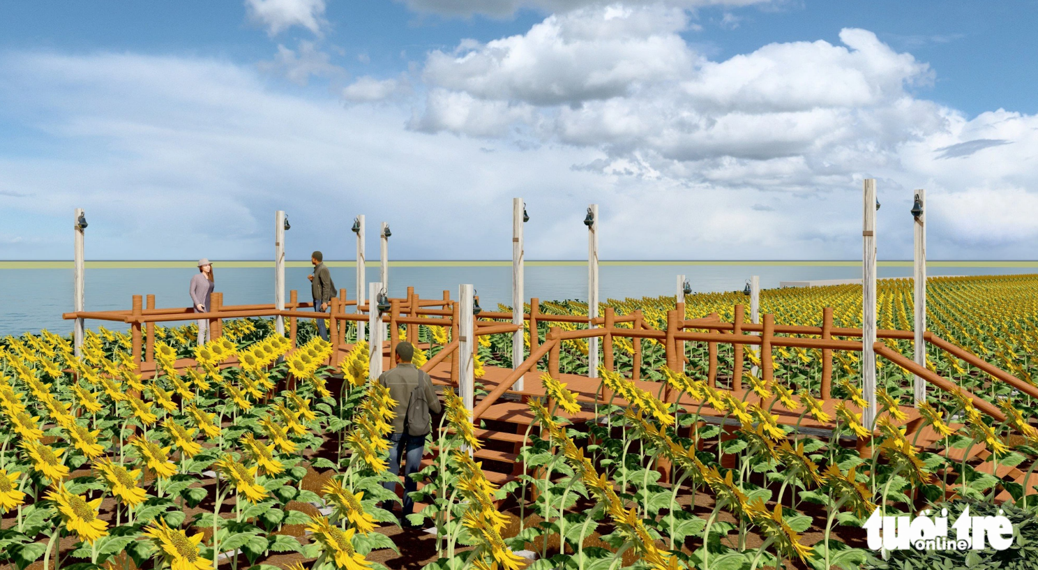 The sunflower field will lie behind An Khanh Temple. The field is expected to become a distinctive and imaginative symbol for Thu Duc City. Photo: Thu Duc City People’s Committee