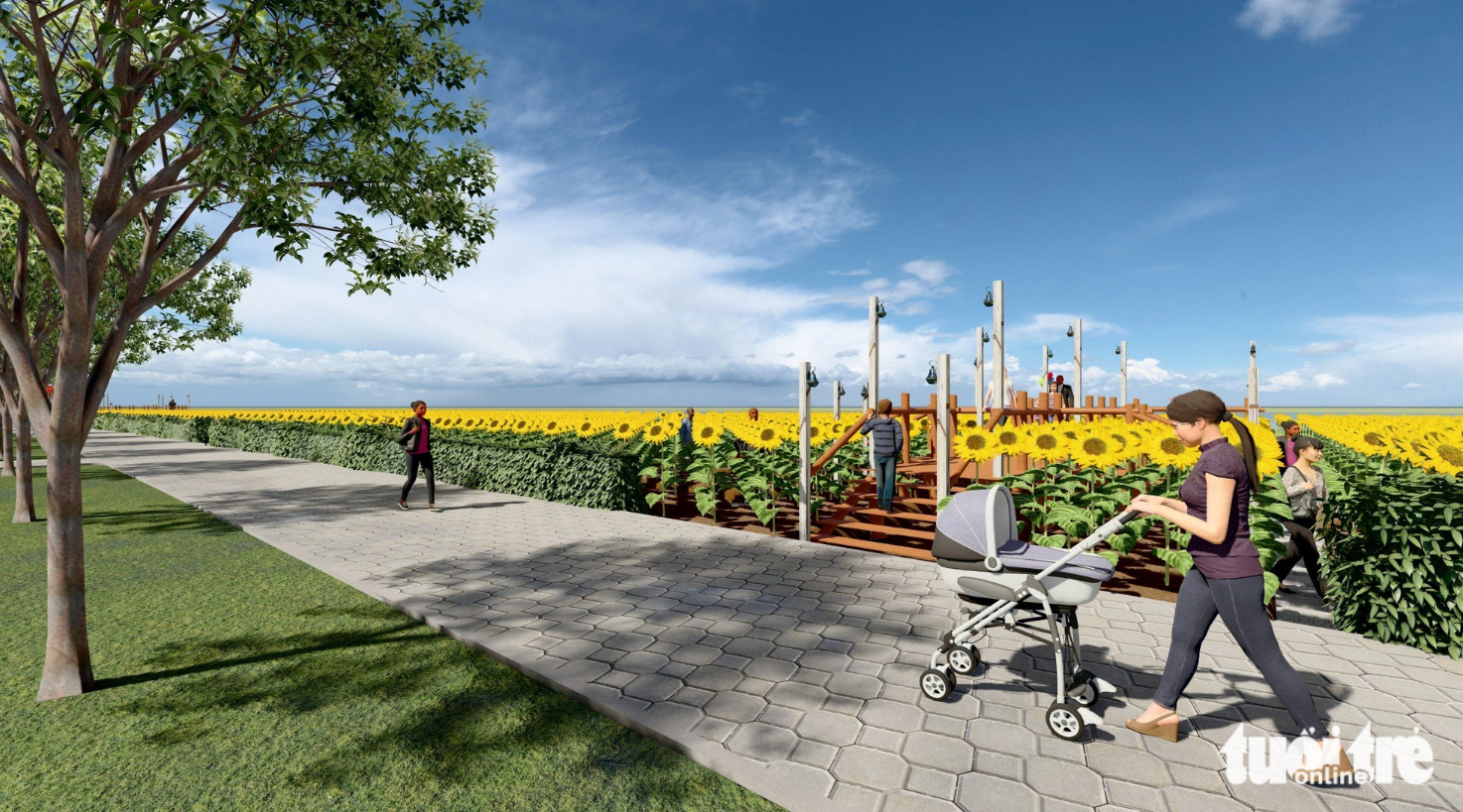 The sunflower garden is set to come into full bloom on the upcoming 2024 New Year holiday. Photo: Thu Duc City People’s Committee