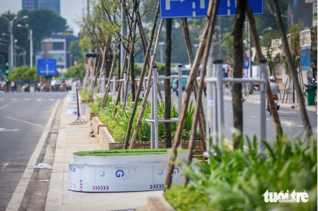 Workers use iron frames and wooden logs to keep the saplings stand firm. Photo: Chau Tuan / Tuoi Tre