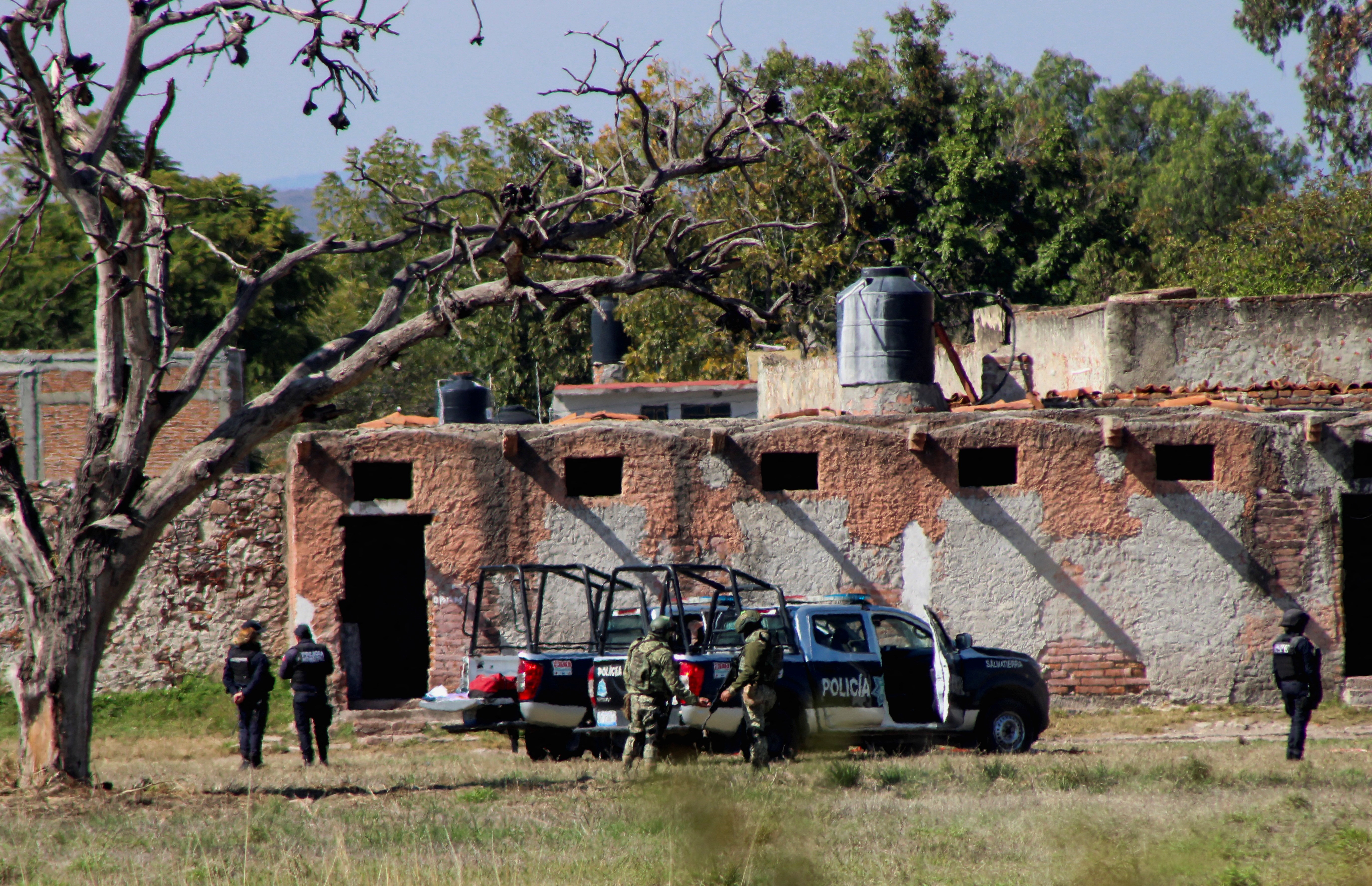 Authorities work at the scene where members of an armed group opened fire to partygoers attending a posada, in Salvatierra, in Guanajuato state, Mexico, December 17, 2023. Photo: Reuters