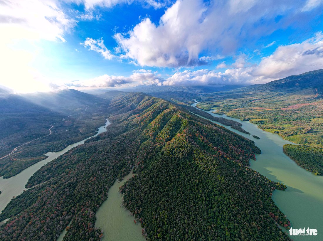 Yellow and red leaves dot a Formosan sweet gum forest in Quang Tri Province, north-central Vietnam.