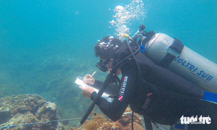 An expert assigned by the Nui Chua National Park management board evaluates local coral reefs as part of a protection initiative. Photo: Duy Ngoc / Tuoi Tre