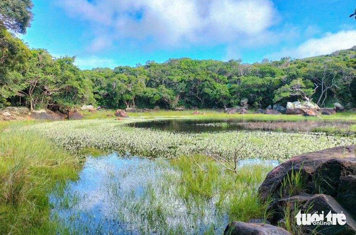 Wild scenery at Nui Chua National Park,  Ninh Thuan Province, south-central Vietnam. Photo: Duy Ngoc / Tuoi Tre