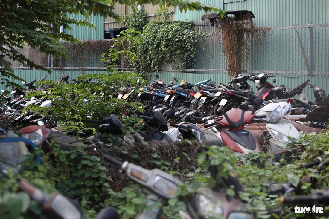 The impoundment area of the District 7 Police is overloaded with vehicles left outside or even piling up. Photo: Minh Hoa / Tuoi Tre