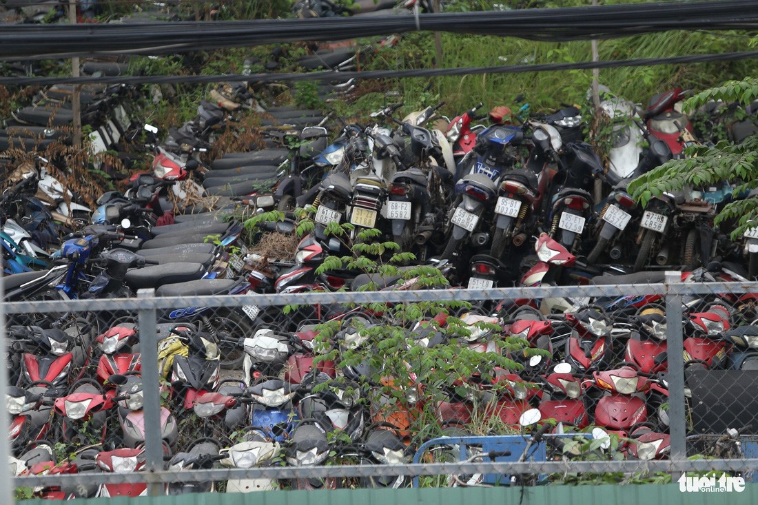 As the impoundment area is overloaded, vehicles are piled up. Photo: Minh Hoa / Tuoi Tre