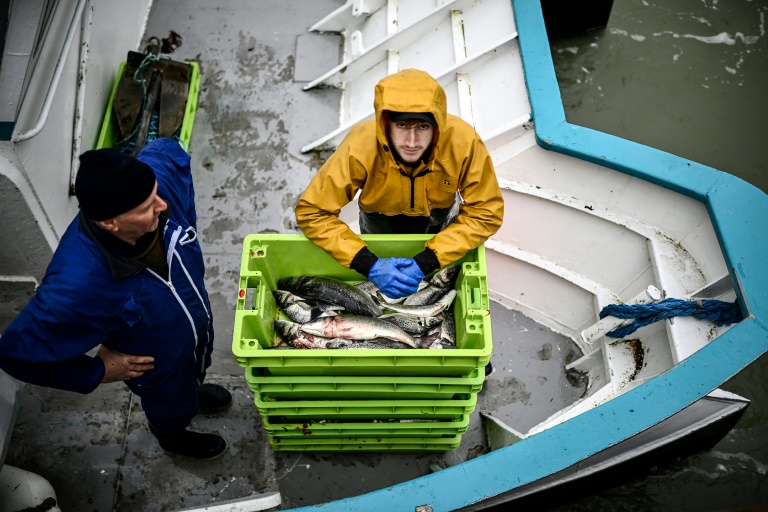A fisherman unloads his catch in La Rochelle, western France. Photo: AFP