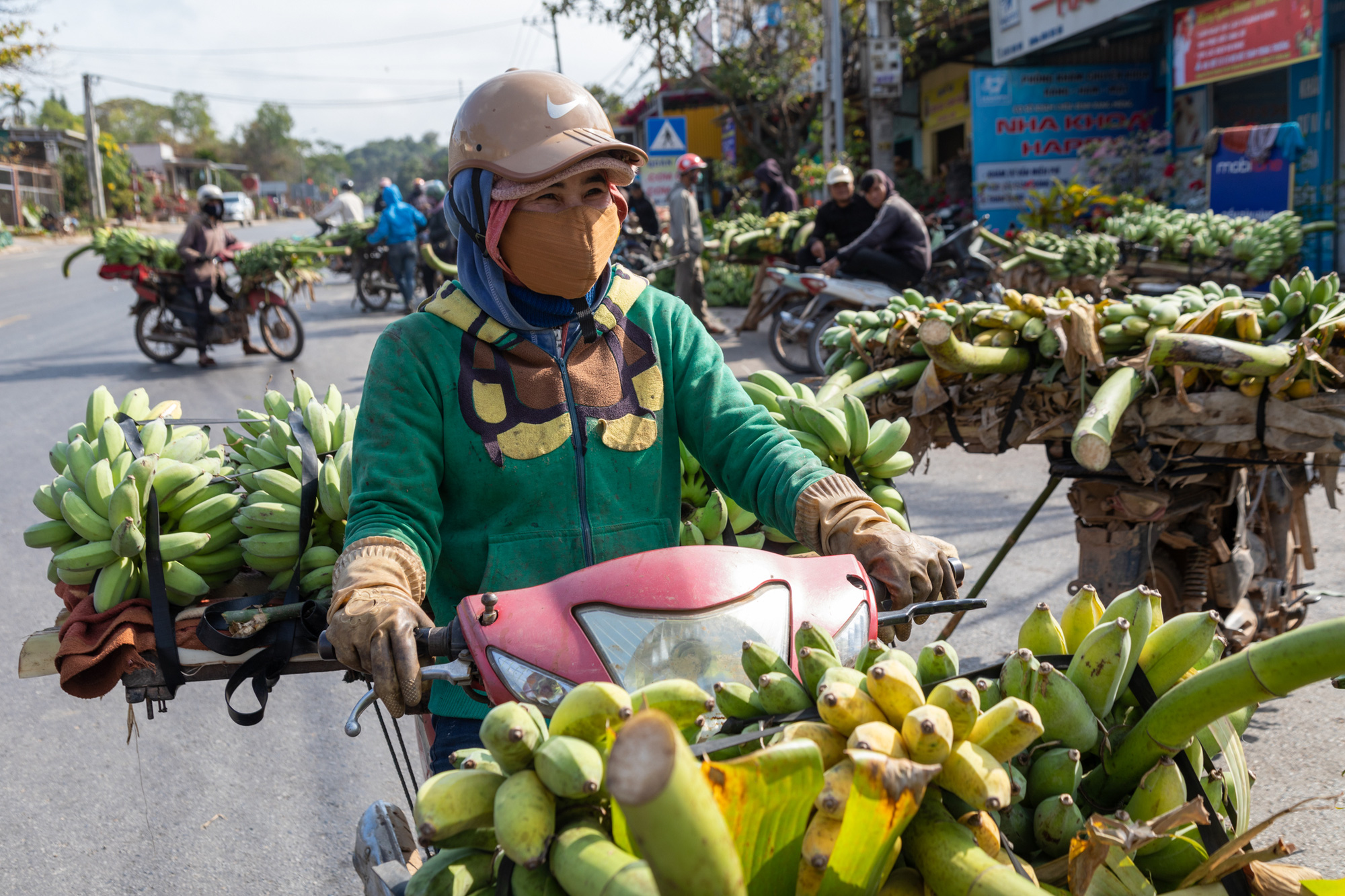 A seller transports bushels of bananas on a motorcycle at the Tan Long banana market in Huong Hoa District, Quang Tri Province, central Vietnam, January 30, 2024. Photo: Hoang Tao / Tuoi Tre
