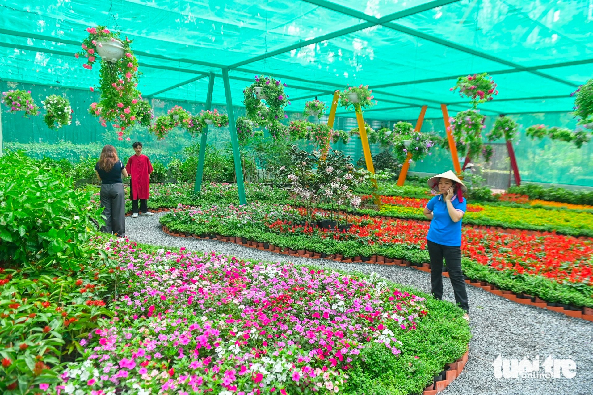 The butterfly garden covers an area of nearly 500 square meters at the Saigon Zoo and Botanical Gardens in District 1, Ho Chi Minh City. Photo: Phuong Quyen / Tuoi Tre