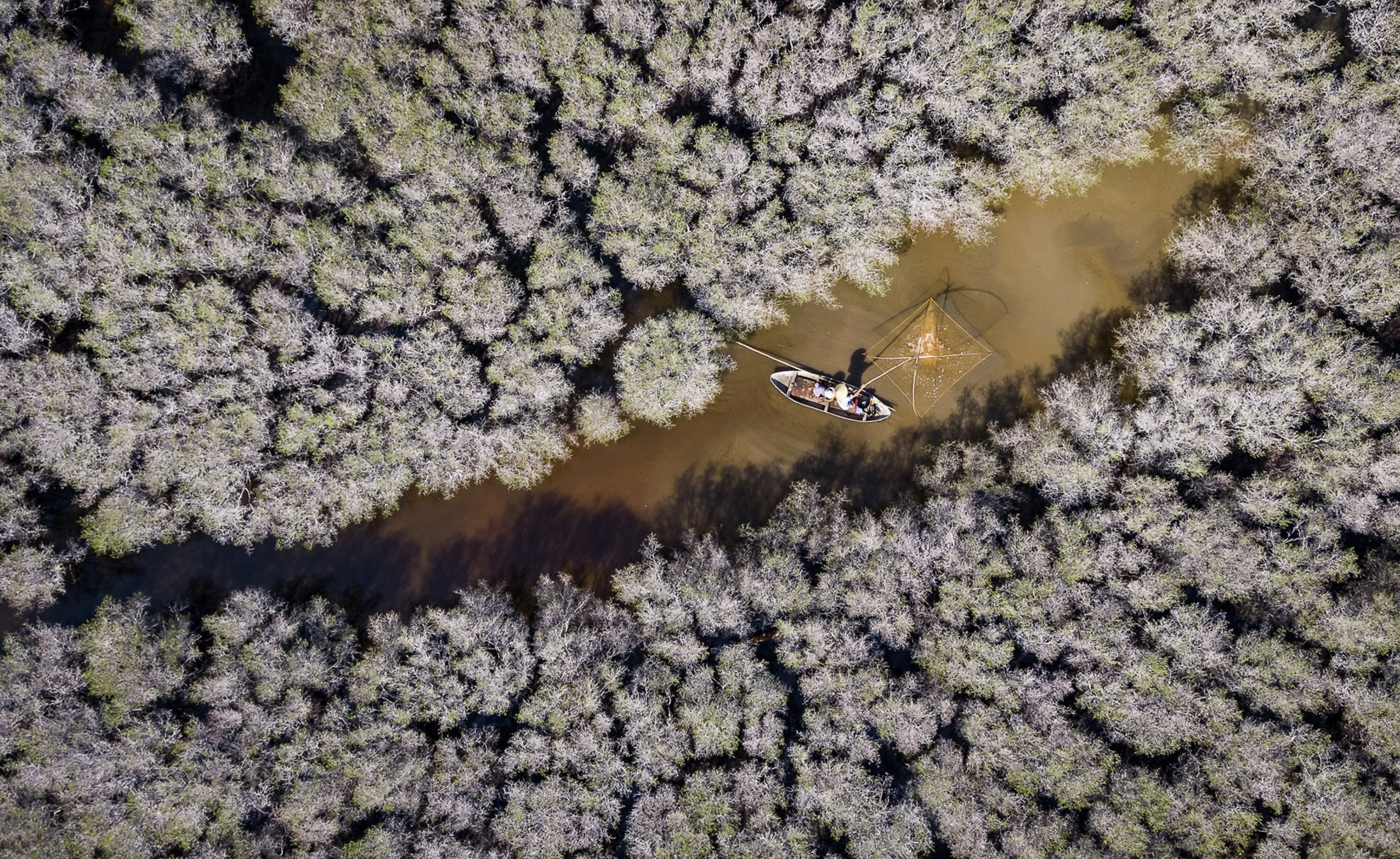 The Ca Cai Lake mangrove forest becomes attractive thanks to its mysterious beauty. Photo: Alex Cao