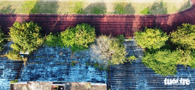 Trees grow on stadium stands. Photo: Doan Cuong / Tuoi Tre