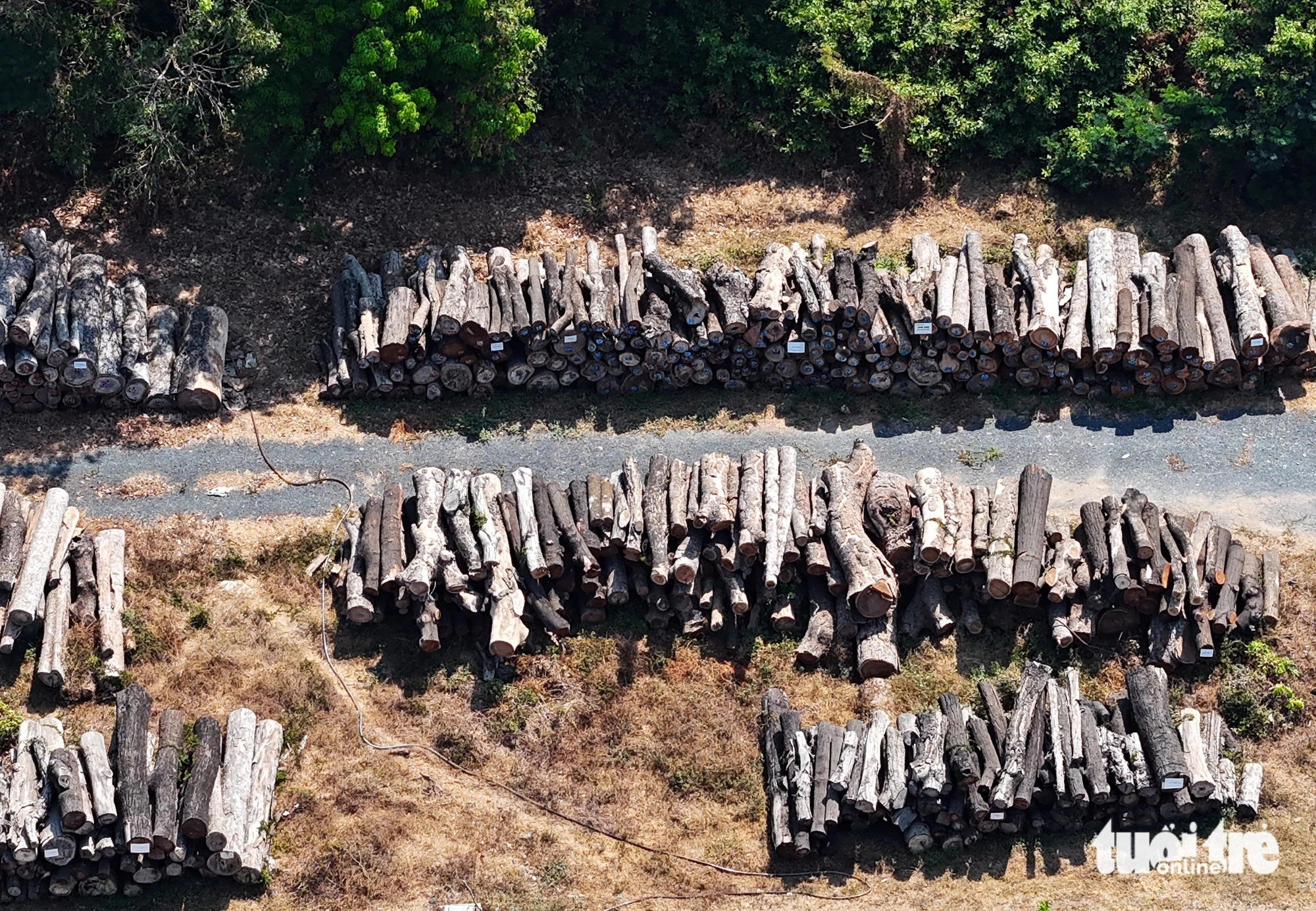 The logs have no protective coverings. Photo: Le Phan / Tuoi Tre