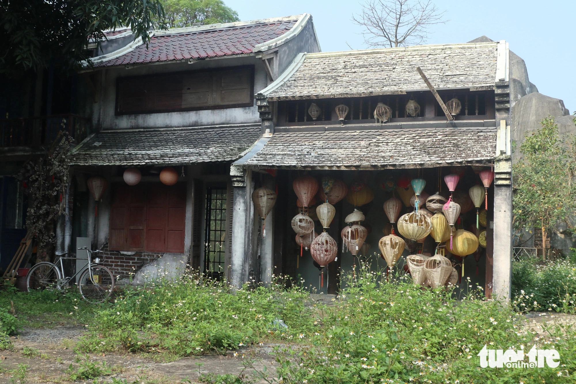 Many paths in the park are full of wild grass. This picture was taken in April 2022. Photo: Doan Hoa / Tuoi Tre