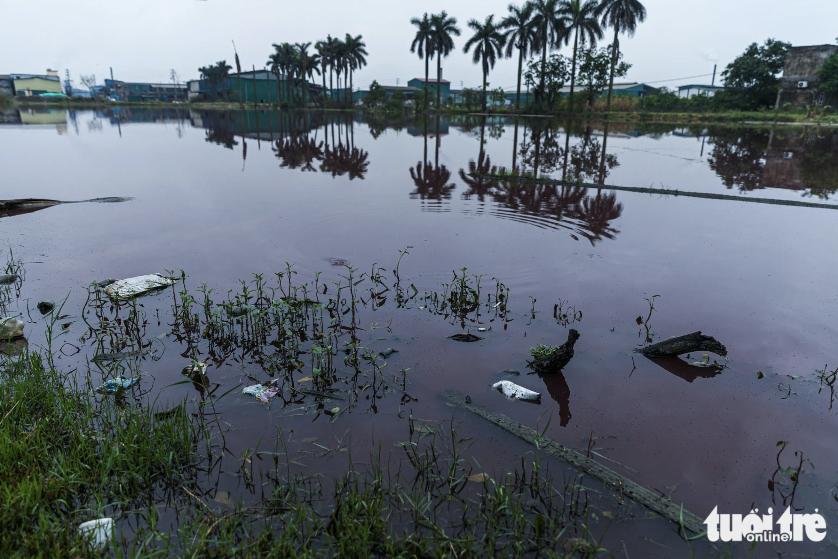 An empty land lot inundated by black wastewater in the Phu Lam industrial cluster in Bac Ninh Province, northern Vietnam. Photo: Danh Khang / Tuoi Tre