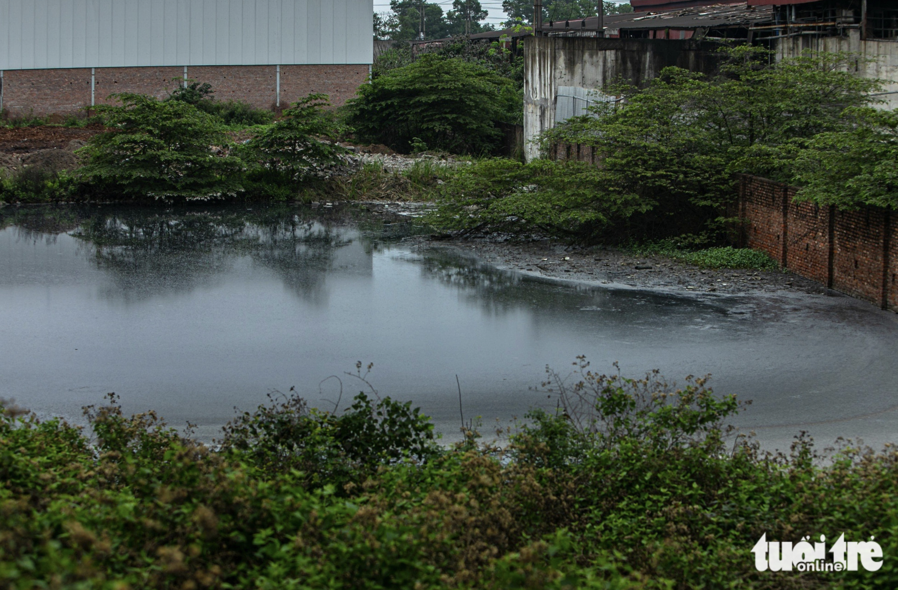Many polluted ponds have formed in the Phong Khe Paper Recycling Village. Photo: Danh Khang / Tuoi Tre